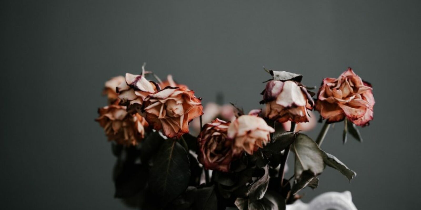 annie-spratt-LsP6HM-ghcg-unsplash