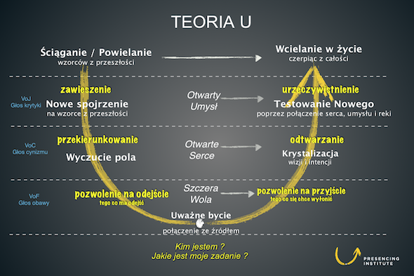 teoria-u otto schermeranno