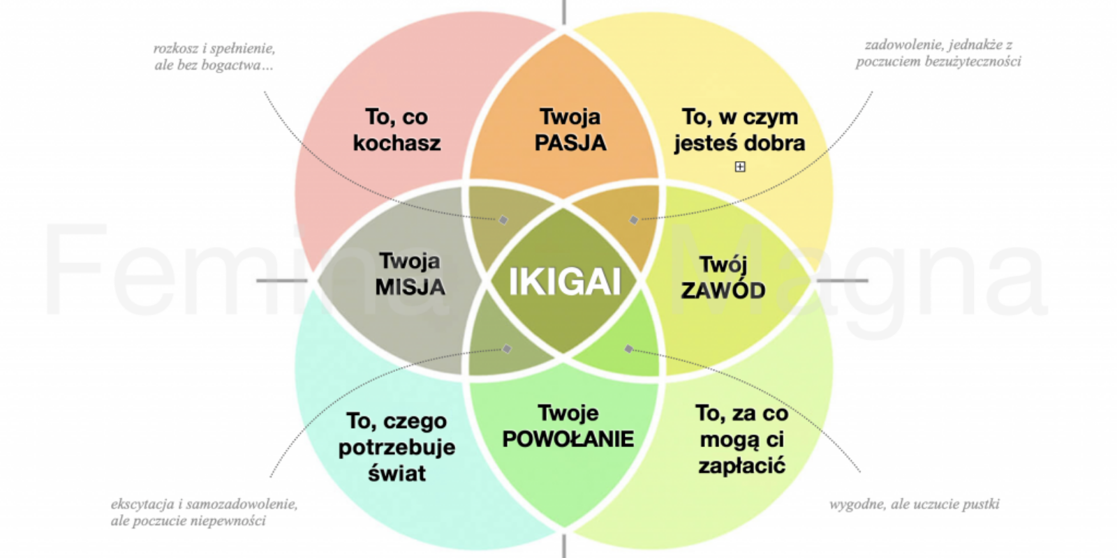 Feminamagna-Ikigei-integral
